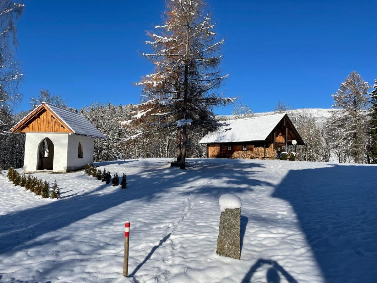 Berghuette, Chalet - Schwarzenberg Am Boehmerwald Schwarzenberg am Bohmerwald ภายนอก รูปภาพ